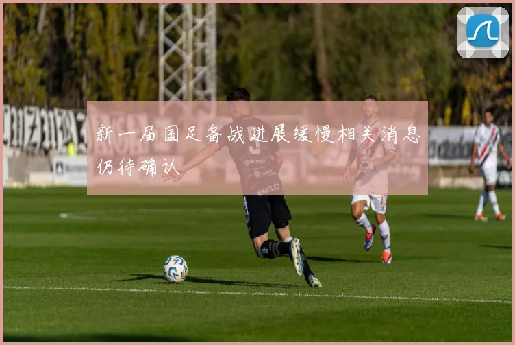 新一届国足备战进展缓慢相关消息仍待确认