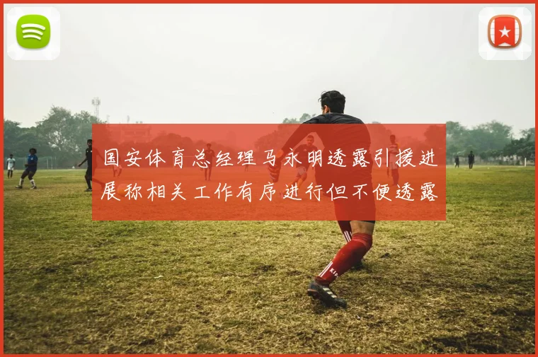 国安体育总经理马永明透露引援进展称相关工作有序进行但不便透露名字