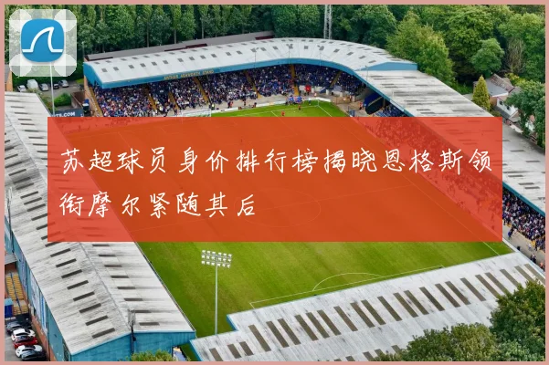 苏超球员身价排行榜揭晓恩格斯领衔摩尔紧随其后