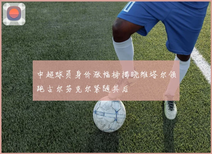 中超球员身价涨幅榜揭晓维塔尔领跑古尔芬克尔紧随其后